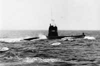 The submarine DELFINEN